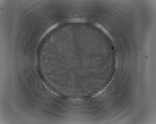 X0000081611213200702121606