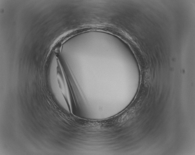 X0000081611214200702121606