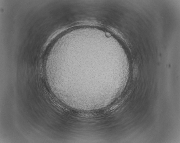 X0000081611215200702121606