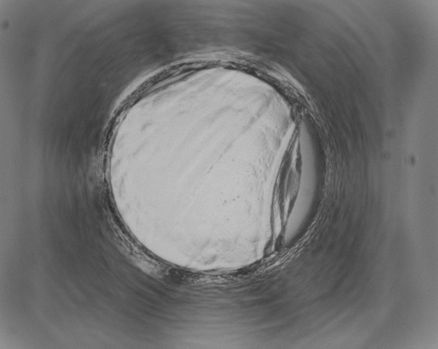 X0000081611216200702121606