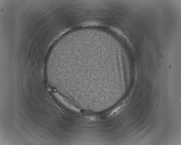 X0000081611217200702121606