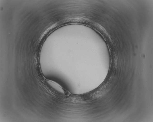 X0000081611218200702121606