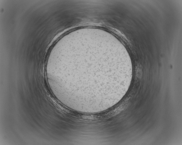 X0000081611220200702121606