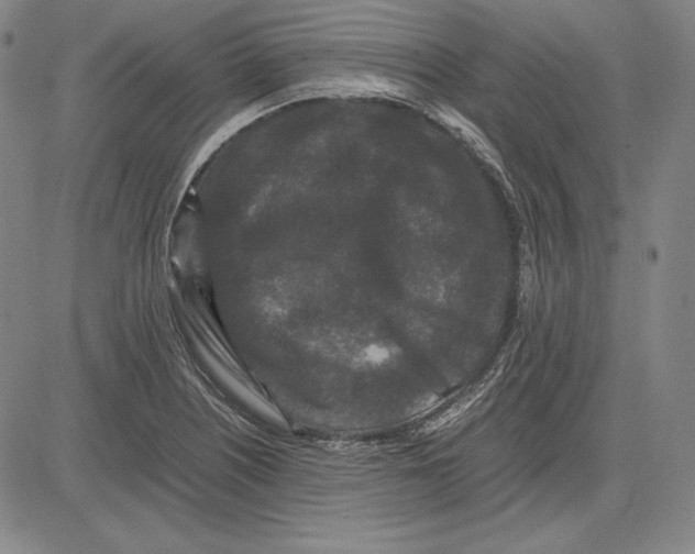 X0000081611226200702121606