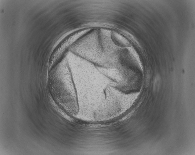 X0000081611228200702121606