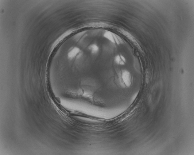 X0000081611229200702121606