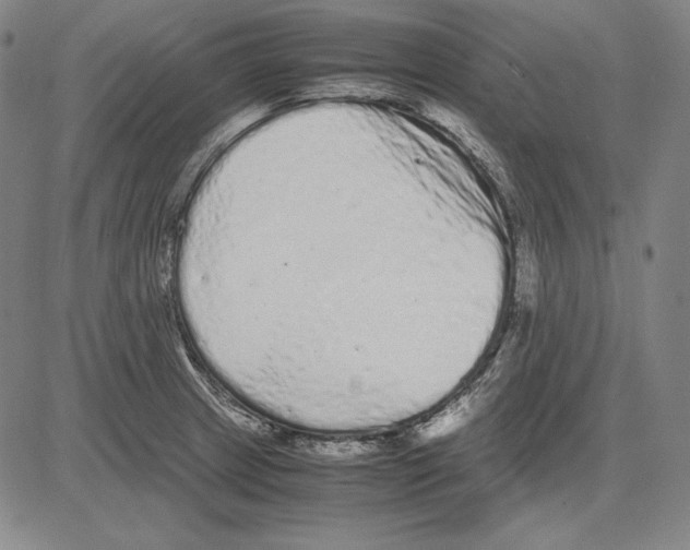 X0000081611233200702121606