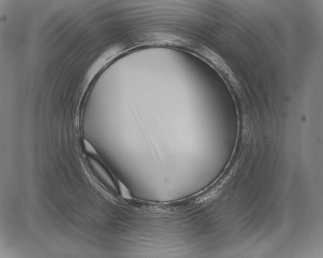 X0000081611234200702121606