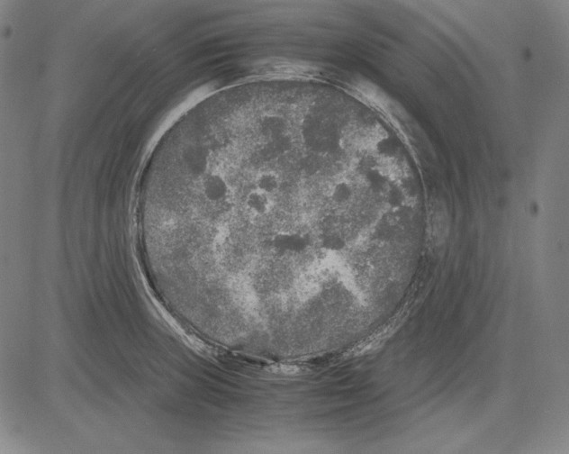 X0000081611235200702121606