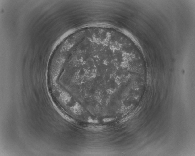 X0000081611237200702121606