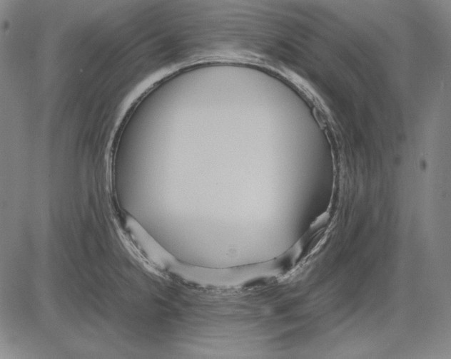 X0000081611238200702121606