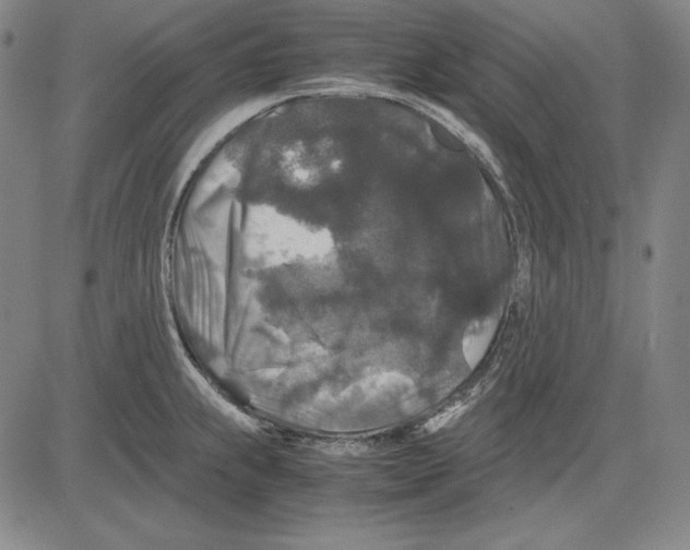 X0000081611239200702121607