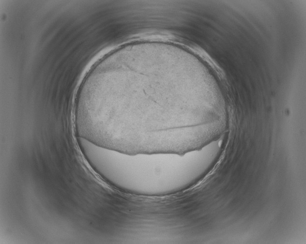 X0000081611240200702121607