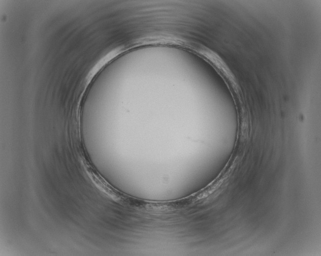 X0000081611242200702121607