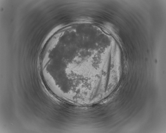 X0000081611243200702121607