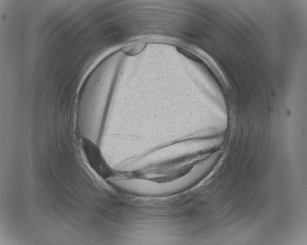 X0000081611244200702121607