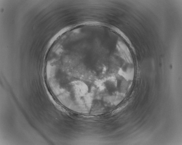 X0000081611245200702121607