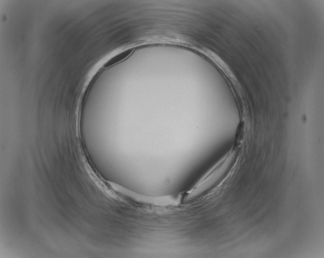 X0000081611246200702121607