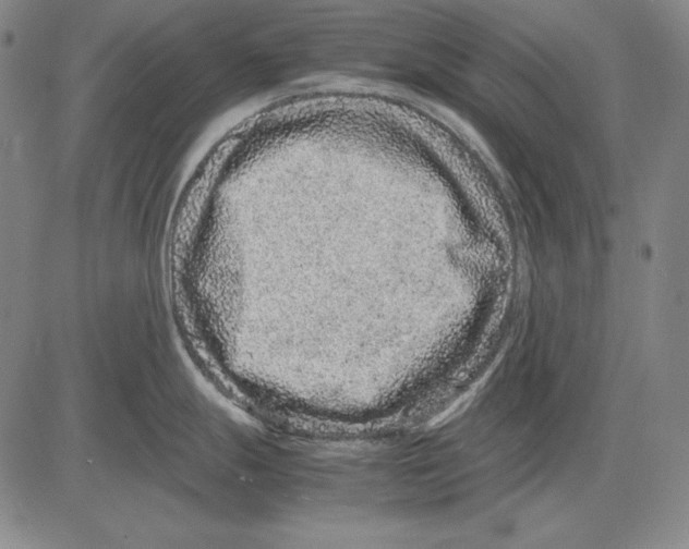 X0000081611247200702121607