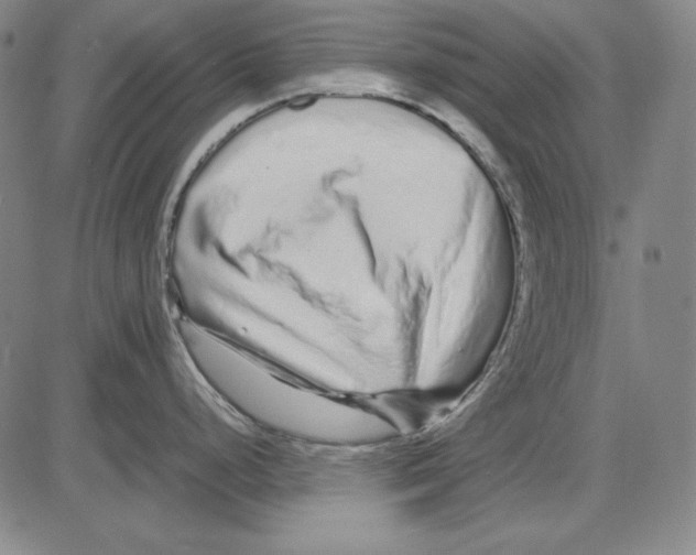 X0000081611248200702121607