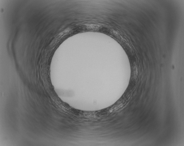 X0000081611249200702121606