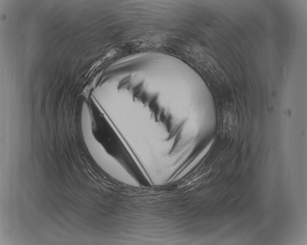 X0000081611250200702121606