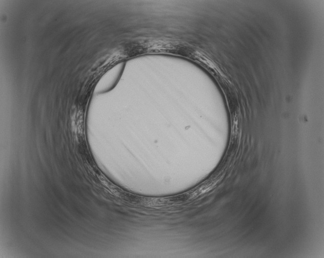 X0000081611251200702121606