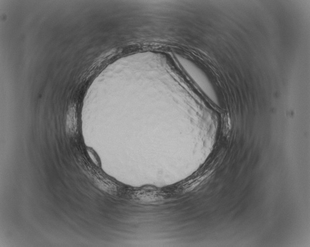 X0000081611252200702121606