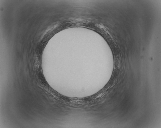 X0000081611253200702121606