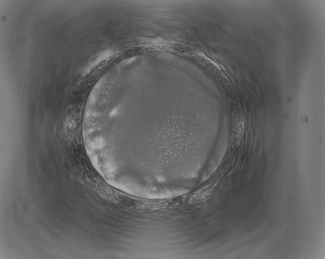 X0000081611254200702121606