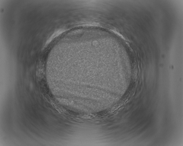 X0000081611255200702121606