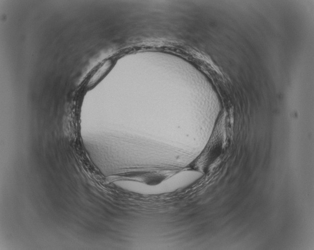 X0000081611256200702121606