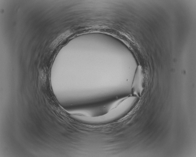 X0000081611257200702121606