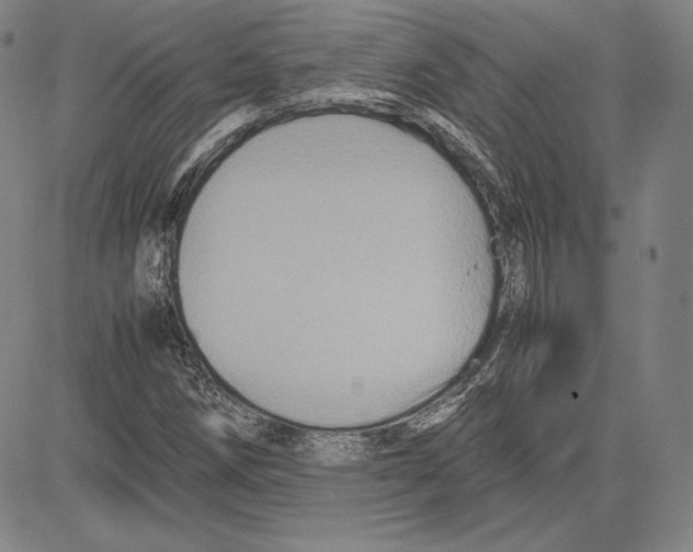 X0000081611258200702121606