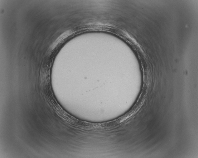 X0000081611259200702121606