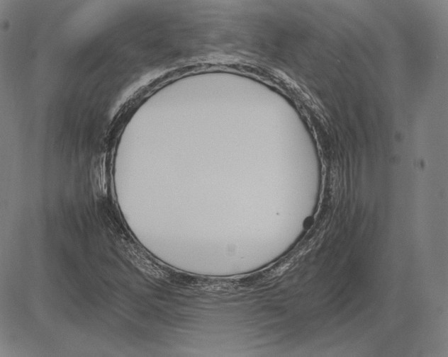 X0000081611262200702121606