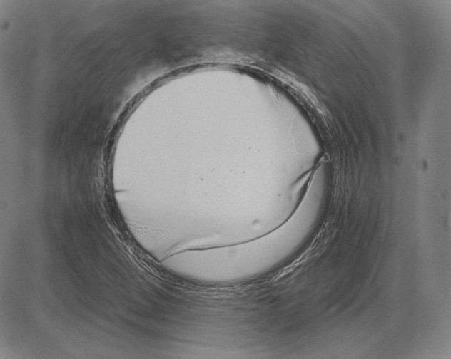 X0000081611264200702121606