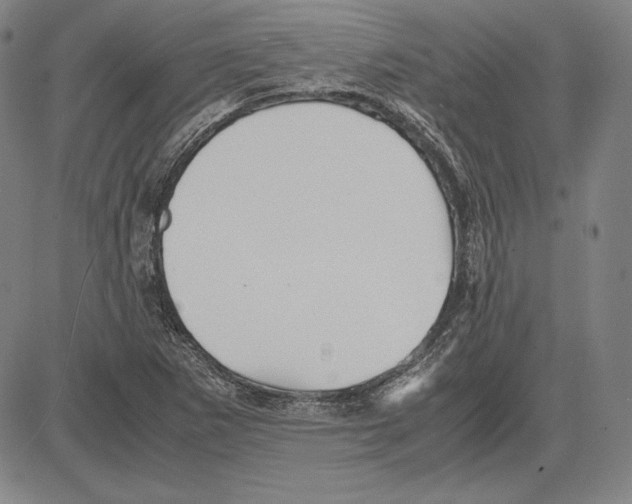 X0000081611265200702121606