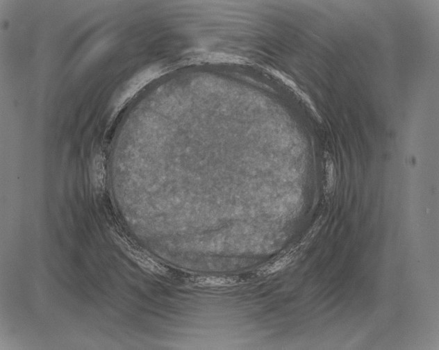 X0000081611266200702121606