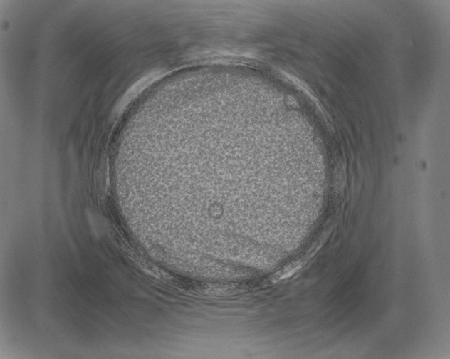 X0000081611267200702121606