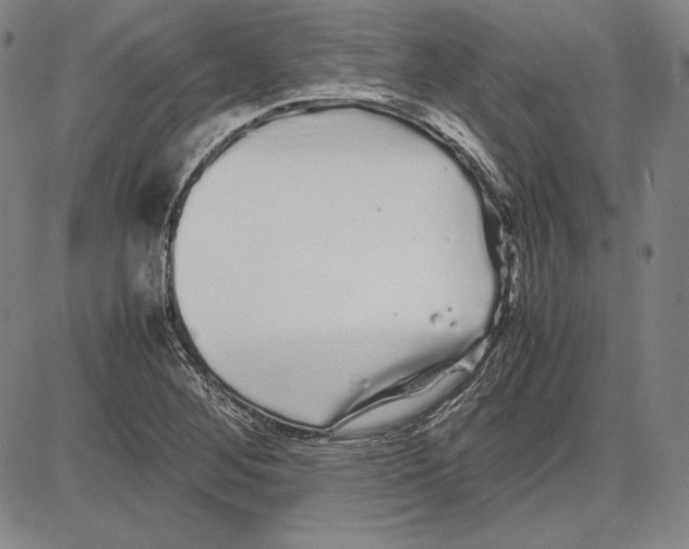 X0000081611268200702121606