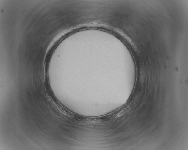 X0000081611270200702121606