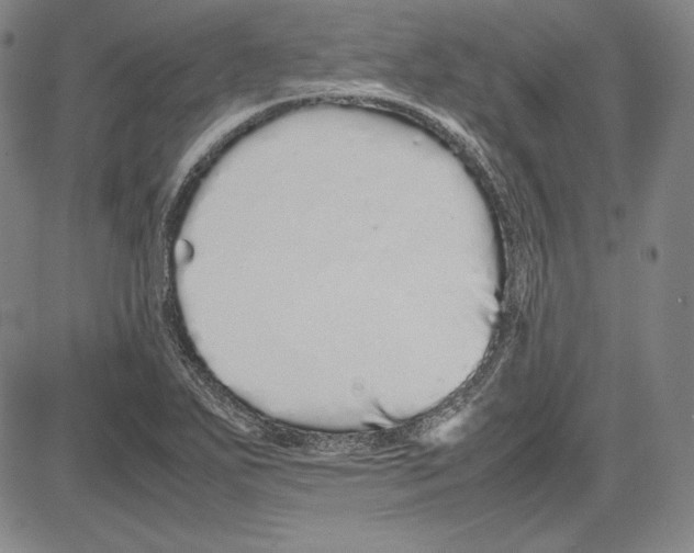 X0000081611271200702121606