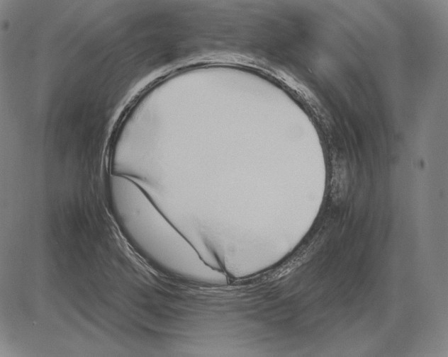 X0000081611272200702121605