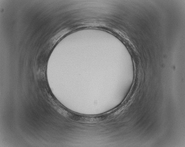 X0000081611273200702121605