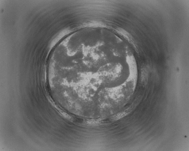 X0000081611274200702121605