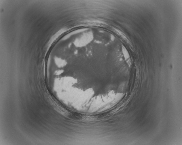 X0000081611275200702121605