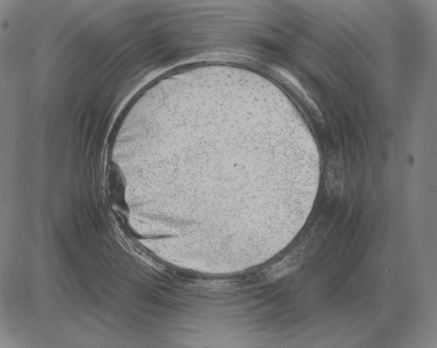 X0000081611276200702121605