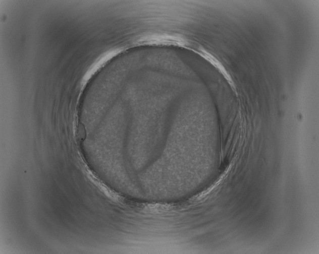 X0000081611277200702121605