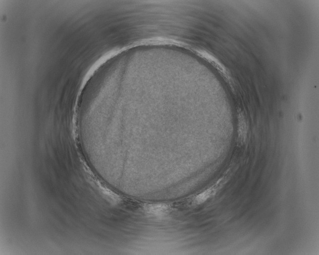 X0000081611278200702121605